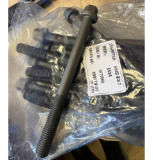 9175565 Болт ГБЦ Liebherr