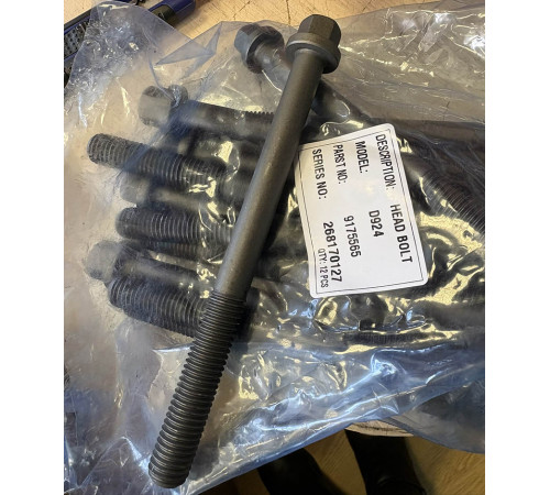 9175565 Болт ГБЦ Liebherr