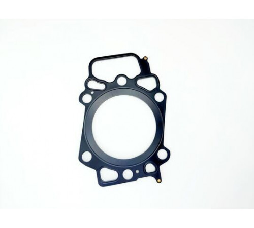 Прокладка ГБЦ для LIEBHERR D9508, D9512