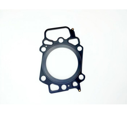 Прокладка ГБЦ для LIEBHERR D9508, D9512