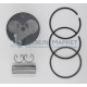 Поршень 0.50 с кольцами Kubota V2203 16423-21110