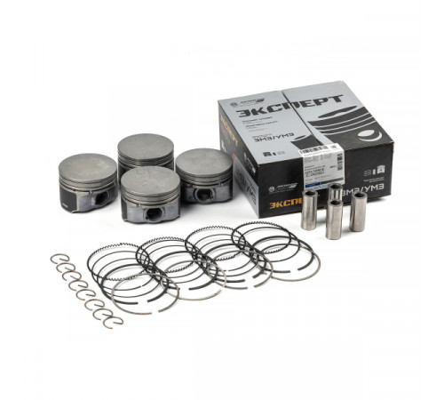 Моторокомплект А274.1004018 'D' МД (Эксперт)