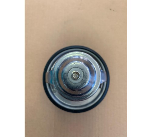 Термостат HINO JO8 (S1632-E9020)