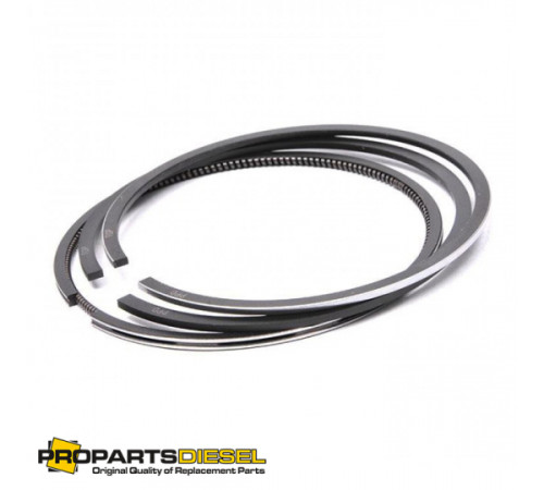 Поршневые кольца LIEBHERR D924 / D926 (7382094)