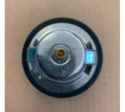 Термостат Hino J05 (S0401-66119)