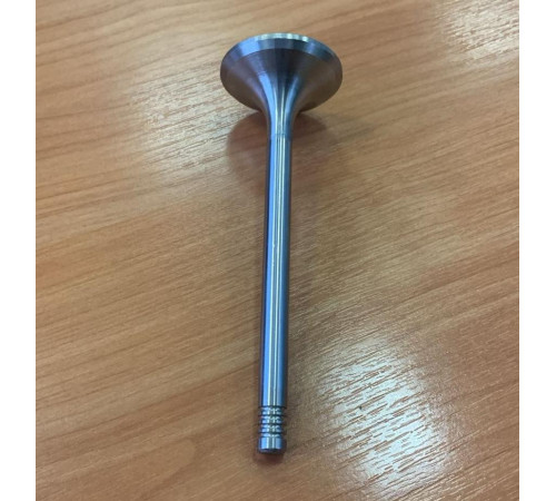 Клапан вЫпускной Либхер Liebherr D924 и D926 (9279579)