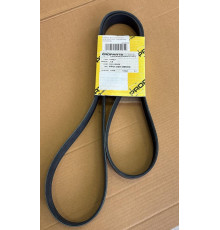 Ремень мультиклиновой JCB 3CX, 4CX (320/08599)