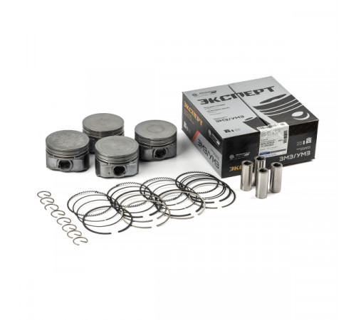 Моторокомплект А274.1004018 'C' МД (Эксперт)