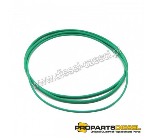 Уплотнительные кольца Liebherr D924, D926 (10018069)