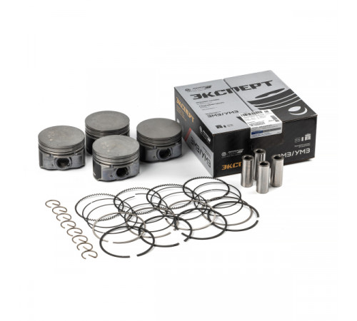 Моторокомплект А274.1004018 'B' МД (Эксперт)