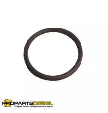 Уплотнительное кольцо (O-ring) водяной Hanomag (2997352M1)