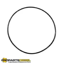 Уплотнительное кольцо водяной помпы (O-ring) Cummins ISX, QSX (3679751)
