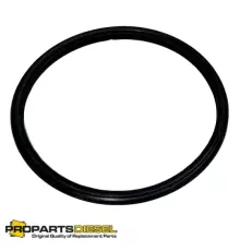 Уплотнительное кольцо (O-ring) термостата Cummins (3954829)