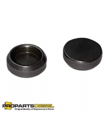 Монетка клапана Cummins B3.3, QSB3.3 (4982900)
