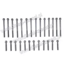 Комплект болтов ГБЦ Cummins 6CT 8.3 (PPD-CUM6CT-BK)